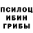 Галлюциногенные грибы мухоморы Vitalik Klimov