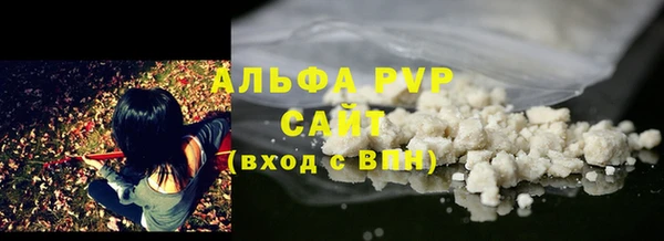 ПСИЛОЦИБИНОВЫЕ ГРИБЫ Елабуга