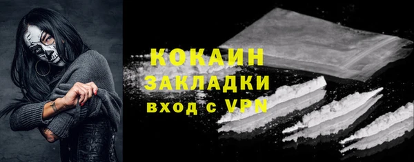 ПСИЛОЦИБИНОВЫЕ ГРИБЫ Елизово