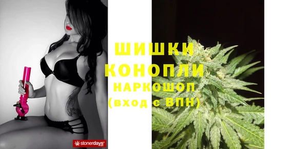 ПСИЛОЦИБИНОВЫЕ ГРИБЫ Елизово