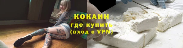 ПСИЛОЦИБИНОВЫЕ ГРИБЫ Елизово
