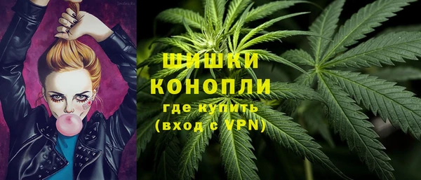 mix Ельня