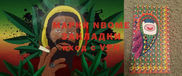 ПСИЛОЦИБИНОВЫЕ ГРИБЫ Елизово