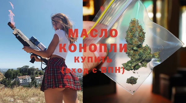 mix Ельня