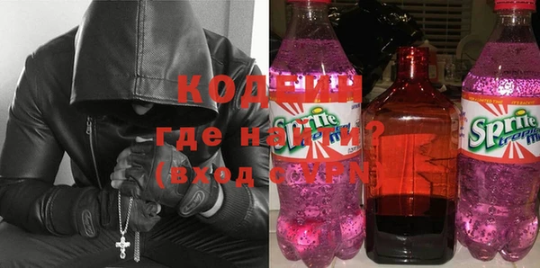амф Гусев