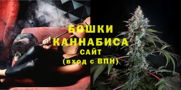 ПСИЛОЦИБИНОВЫЕ ГРИБЫ Елабуга