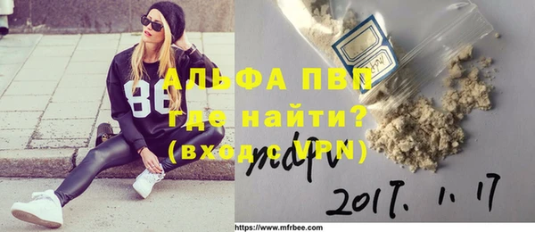 ПСИЛОЦИБИНОВЫЕ ГРИБЫ Елабуга