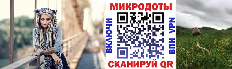 Псилоцибиновые грибы GOLDEN TEACHER  Купить  Снежинск 
